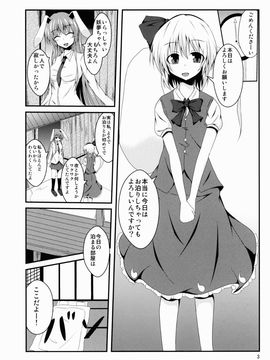 (例大祭10) [竹とんぼ (菜葉)] hypnosis ー百合催眠ー (東方Project)_04