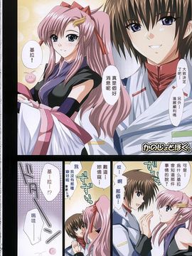 [FANTASY WIND (しなのゆら)] satisfy (機動戦士ガンダムSEED DESTINY)_011
