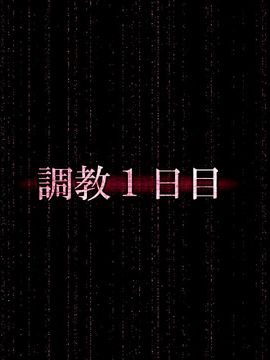 (同人CG集) [B組] 『檻』ー淫肉調教録ー_146_p06