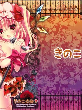 (紅楼夢8) [きのこのみ (kino)] 妹アイドルフランちゃん (東方Project)[Pつssy汉化组]
