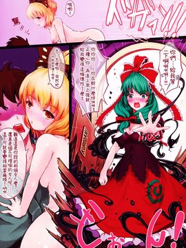 (例大祭9) [dream-mist (sai-go)] TROUBLESOME FEVER (東方Project)[oo君の個人漢化]_06