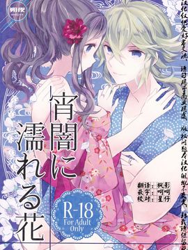(C88) [my pace world (南瓜とるて)] 宵闇に濡れる花 (ポケットモンスターブラック&ホワイト)[朔夜汉化]_02