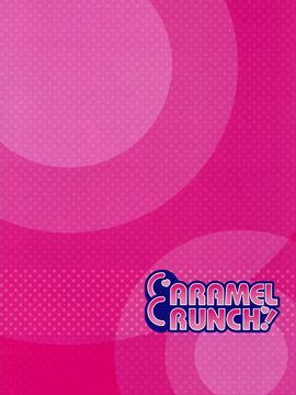 (C88) [CARAMEL CRUNCH! (りかたん☆)] スク水フランちゃんのゆうわく (東方Project)[CE汉化组]_11
