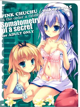 (C88) [PINK CHUCHU (みけおう)] ナイショの身体測定 (ご注文はうさぎですか?) [脸肿汉化组]_022