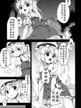 (例大祭11) [たこ焼き畑 (たこ焼き)] Forbidden Fruit (東方Project)[理查N一世个人汉化]_12