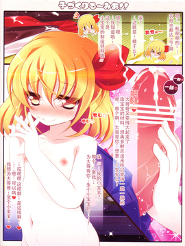 (例大祭9) [アイコトバコ (ごりやく)] 子づくりるーみあ！！ (東方Project)  [CE家族社]_13