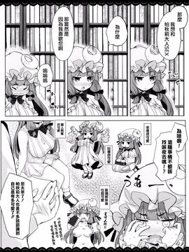 (例大祭13) [伊東ライフ] ぷにぷにパチュリー様 (東方Project)[迷途竹林漢化]_05