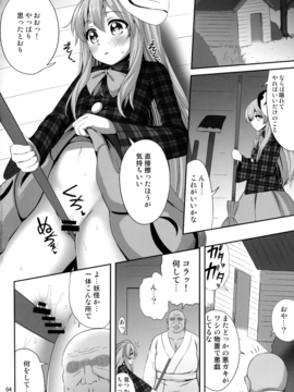 (例大祭13)[腹痛起こす (悔王)] えろいしころ (東方Project)_03