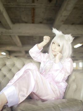 猫 akumonogatari_222