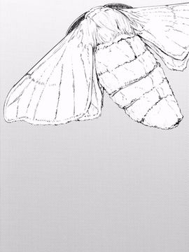 [鮭缶メモリアル (ソロピップB)] 白襲-袂-_004