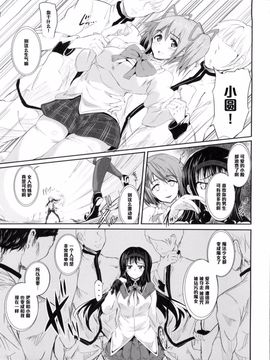 [viento campanilla (すずはねすず)] hmhm (魔法少女まどか☆マギカ)_007