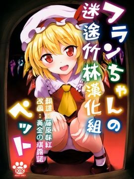 (例大祭13) [54BURGER (まるごし)] フランちゃんのペット (東方Project)[迷途竹林汉化]
