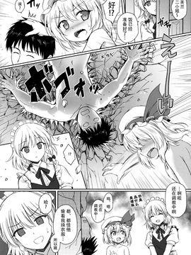 (例大祭13) [54BURGER (まるごし)] フランちゃんのペット (東方Project)[迷途竹林汉化]_24