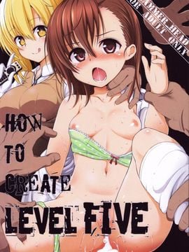 [HAMMER_HEAD (真壁吾郎)] HOW TO CREATE LEVEL FIVE (とある魔術の禁書目録)