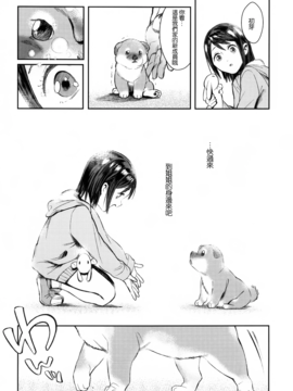 (C89) [zero戦 (xxzero)] いぬのきもちいい vol.001 [中国翻訳]_inunokimochiii01_003