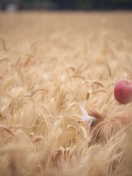 Whistle Around the World_152_007