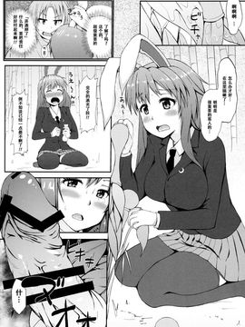 (C87) [田舎の野菜屋 (はぶらえる)] 裏兎 -Urabbit- (東方Project) [CE家族社]_05