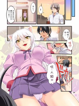 [蒸気亭 (浦瀬しおじ)] 尾無し猫の狂騒 (化物語) [Nice漢化]_004