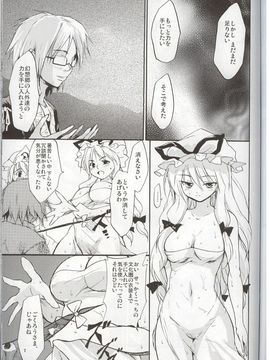 (C68) [PARANOIA CAT (BRO'S)] 東方浮世絵巻 八雲紫 (東方Project)_06