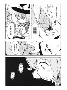 (例大祭13) [02 (原崎)] FREAKS OUT! (東方Project) [沒有漢化]_14