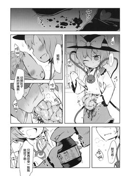 (例大祭13) [02 (原崎)] FREAKS OUT! (東方Project) [沒有漢化]_16