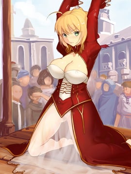 (同人CG集) [Magic Xiang] 転落 (Fate Grand Order)