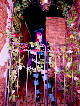 Stocking (Panty & Stocking) cosplay by Kuuya!_209