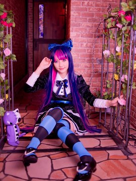 Stocking (Panty & Stocking) cosplay by Kuuya!_232