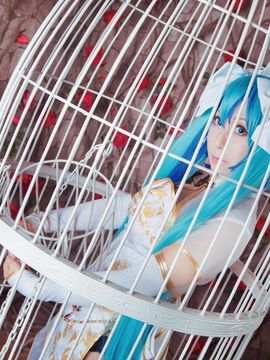 《lovelive》初音未来笼中雀C O S P L A Y_初音未来笼中雀C O S (11)