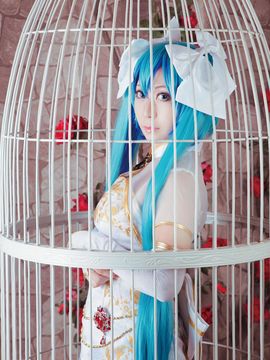 《lovelive》初音未来笼中雀C O S P L A Y_初音未来笼中雀C O S (12)