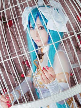 《lovelive》初音未来笼中雀C O S P L A Y_初音未来笼中雀C O S (13)
