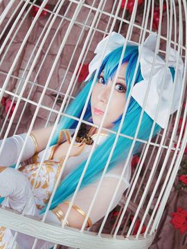 《lovelive》初音未来笼中雀C O S P L A Y_初音未来笼中雀C O S (14)