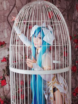 《lovelive》初音未来笼中雀C O S P L A Y_初音未来笼中雀C O S (15)