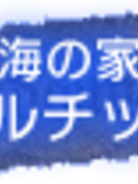 01_Alicesoft(AS)_Rance vol-01_ The Quest for Hikari_262