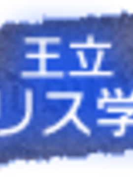 01_Alicesoft(AS)_Rance vol-01_ The Quest for Hikari_267