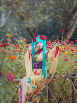 《VOCALOID》初音未来，异国歌姬ver  C O S P L A Y_miku 异国的歌姬 雏菊和服 (11)