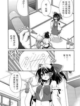 (COMIC1☆3) [ciaociao (あらきかなお)] 文々ラプソディ (東方Project) [中国翻訳]_008