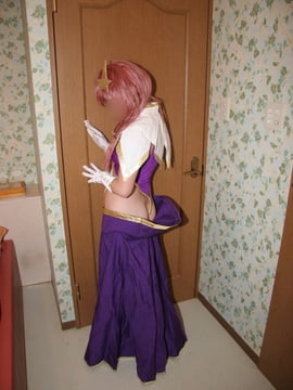 [ぐるぐるみー] 種デスの歌姫（偽）のソフトSM写真集、第二弾_009