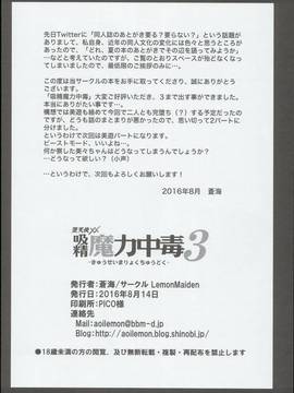 (C90) [LemonMaiden (蒼海) (Aoi Masami)] Kyuusei Maryoku Chuudoku 3 (Fatekaleid liner Prisma Illya) [Chinese] [MEGA巨莖怪漢化]_0025