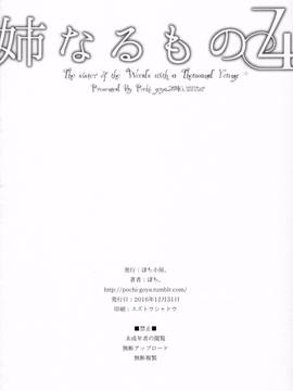 [無毒漢化組] (C91) [ぽち小屋。 (ぽち。)] 姉なるもの 4 (姉なるもの)_025