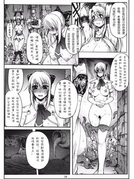 [Wolkenkratzer(梵天鴉)]Decadence Soul(ソウルキャリバー)_Page_27