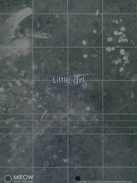 [三分鐘熱度個人漢化] (C87) [Mieow (らする)] Little Girl 10_lg10030