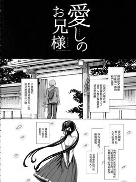 [无毒汉化组] (C91) [NOSEBLEED (宮元一佐)] 愛しのお兄様 Lilim's外伝 [無修正]_004