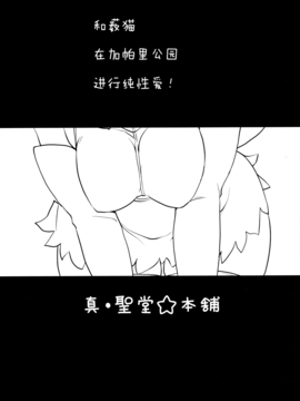 [无毒汉化组] (サンクリ2017 Winter) [真・聖堂☆本舗 (聖☆司)] すごーい！あなたはひとり交尾ごっこがとくいなフレンズなんだねー♪ - サーバルちゃんに、『繁殖のための交尾』じゃない、気持ち良くなるための『生ハメセックス』教えてあげる話。 (けものフレンズ)_002
