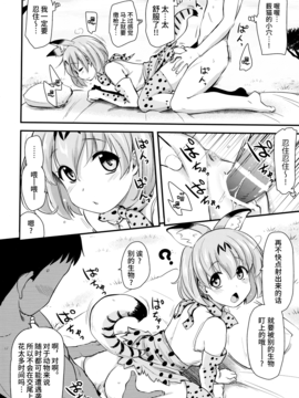 [无毒汉化组] (サンクリ2017 Winter) [真・聖堂☆本舗 (聖☆司)] すごーい！あなたはひとり交尾ごっこがとくいなフレンズなんだねー♪ - サーバルちゃんに、『繁殖のための交尾』じゃない、気持ち良くなるための『生ハメセックス』教えてあげる話。 (けものフレンズ)_007