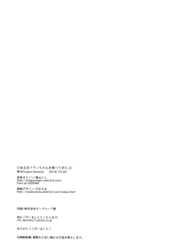 (C91) [金魚オリジン (香山リム)] ある日フランちゃんを拾ってきた。 (東方Project)_17