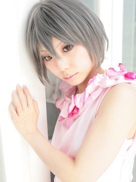 [Sparkle] Lupinas Yellow_228