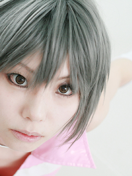 [Sparkle] Lupinas Yellow_256