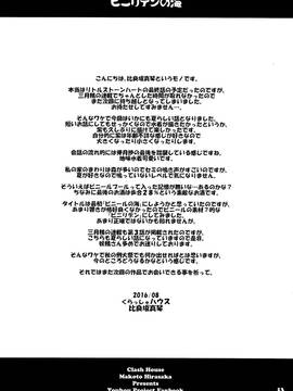 [oo君個人漢化](C90) [くらっしゅハウス (比良坂真琴)] ビニリデンの海 (東方Project)_013