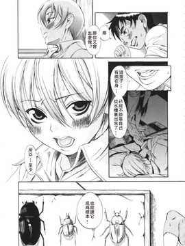 [A·浪漫·我慢] くわがた_125